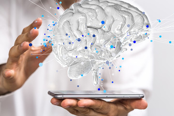 幼儿园小班教案《认识水果》