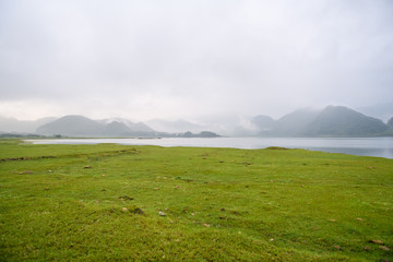 各种古怪又美丽的奇特植物