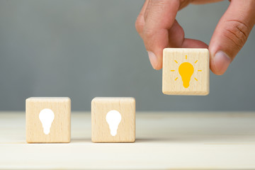 切花月季怎么养护（关于月季切花的养护知识）