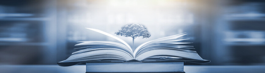 我喜欢的植物及特点