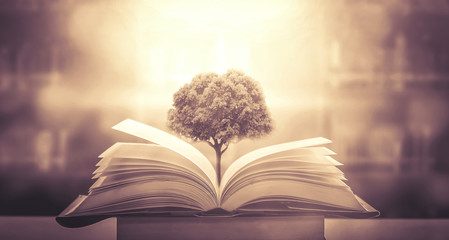 关于中秋节的灯谜有哪些及答案