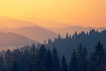 科目三考些什么内容？