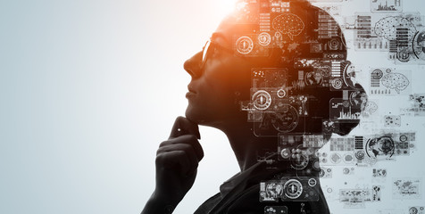 我喜欢的植物及特点