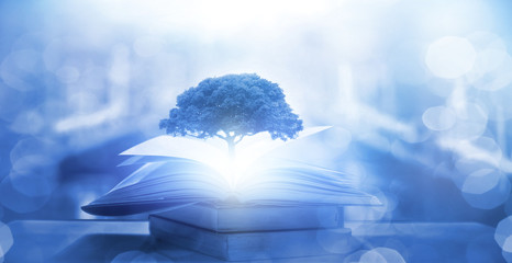 如何让传统文化焕发新的生命力