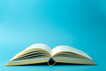 养生壶可以煮鸡鸭鱼汤么