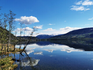 科目三考些什么内容？