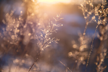 记忆历史知识的有效方法