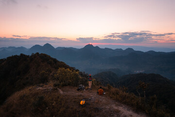 我喜欢的植物及特点