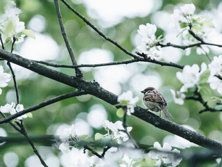 各种古怪又美丽的奇特植物