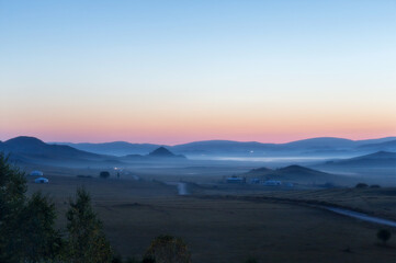 各种古怪又美丽的奇特植物