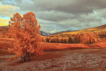 幼儿园小班教案《认识水果》