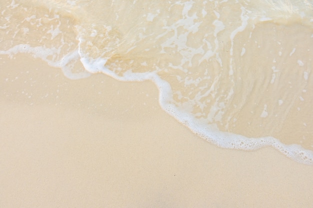 幼儿园小班教案《认识水果》