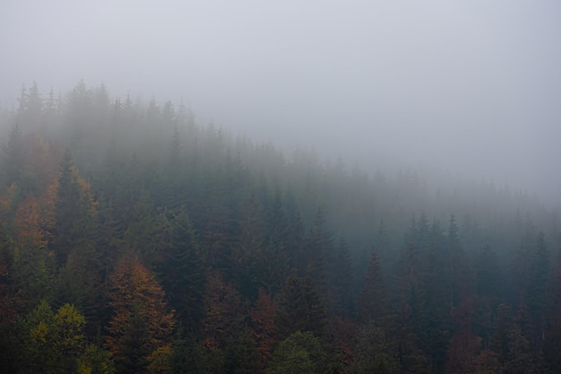 科目三考些什么内容？