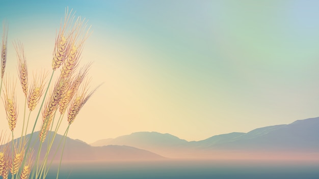 养生壶可以煮鸡鸭鱼汤么