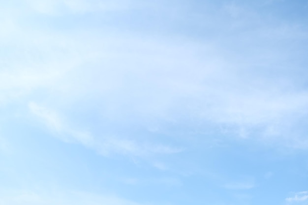 各种古怪又美丽的奇特植物