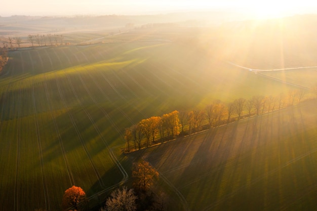 大学生个人自我鉴定