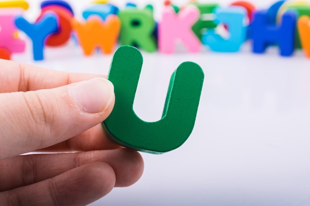 切花月季怎么养护（关于月季切花的养护知识）