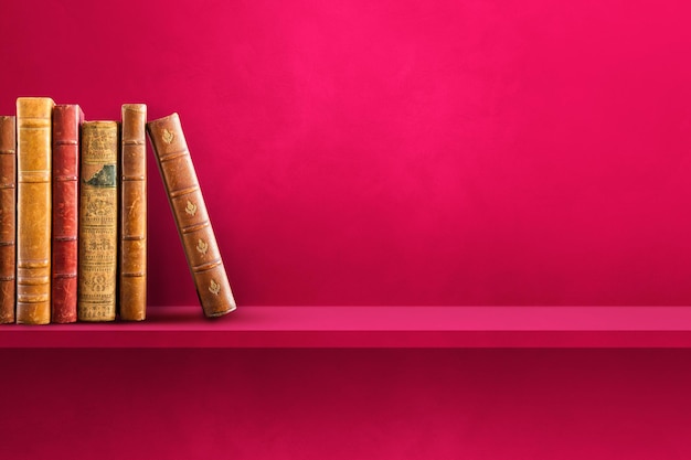 大学生个人自我鉴定